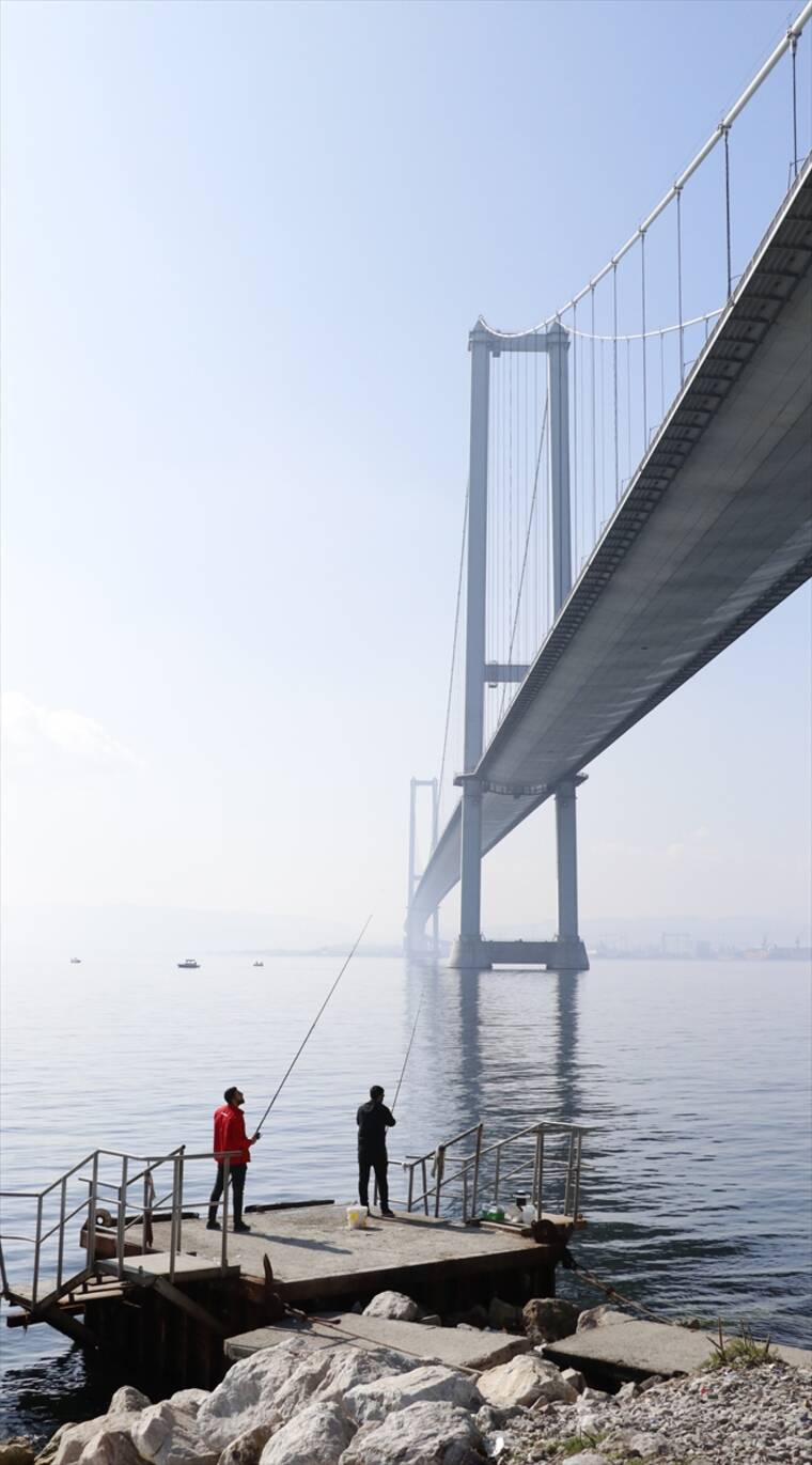 Osmangazi Köprüsü'nün altı olta balıkçılarının uğrak yeri oldu! 3