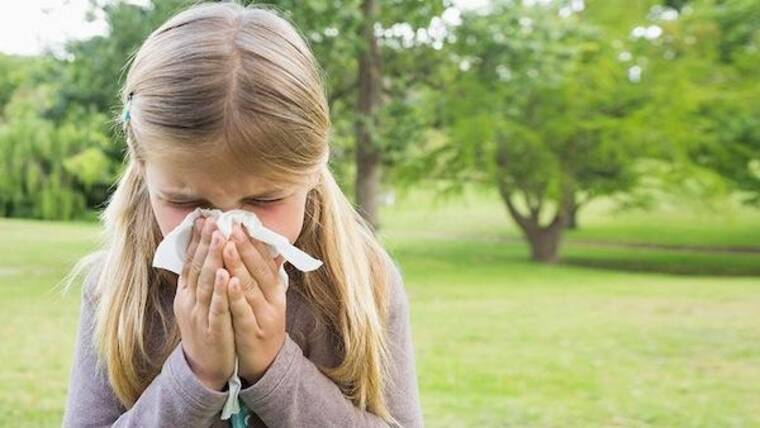 'Saman nezlesi' olarak biliniyor! Uzmanından alerjik rinit uyarısı 5