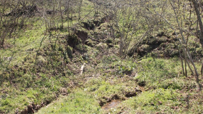 Ordu'da heyelan nedeniyle bahçe ve yollar zarar gördü