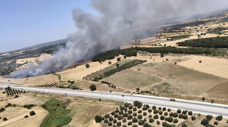 Çanakkale'de orman yangını: 5 dönüm ormanlık alan hasar aldı