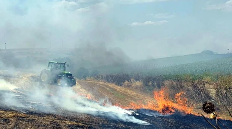 Tekirdağ'da 600 dekarlık buğday ekili alan yandı