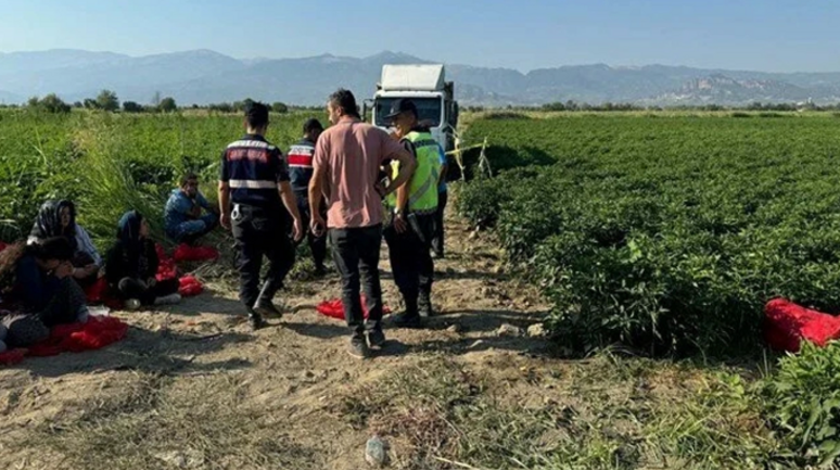 Tarlada kabus: 6 yaşındaki çocuk kamyonun altında can verdi, ailesi şoförü öldürdü!