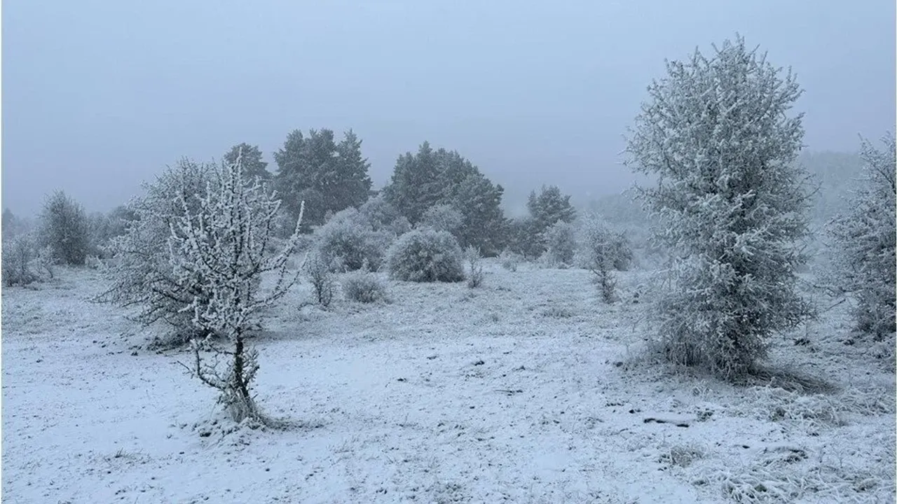 Ankara Cubuk