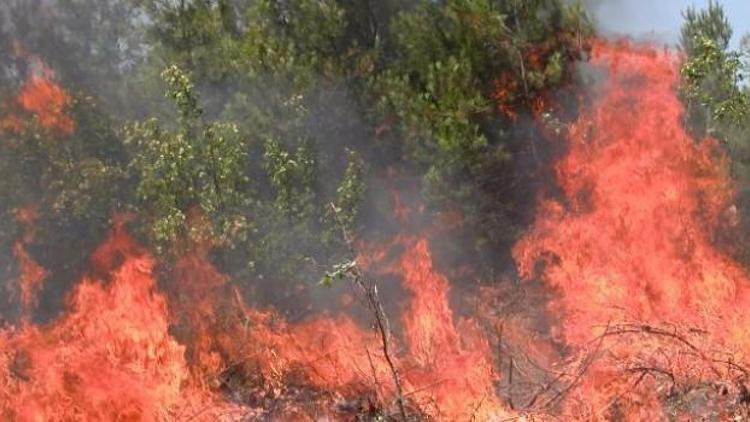 Örtü yangını nedir? - Son Dakika Haberler