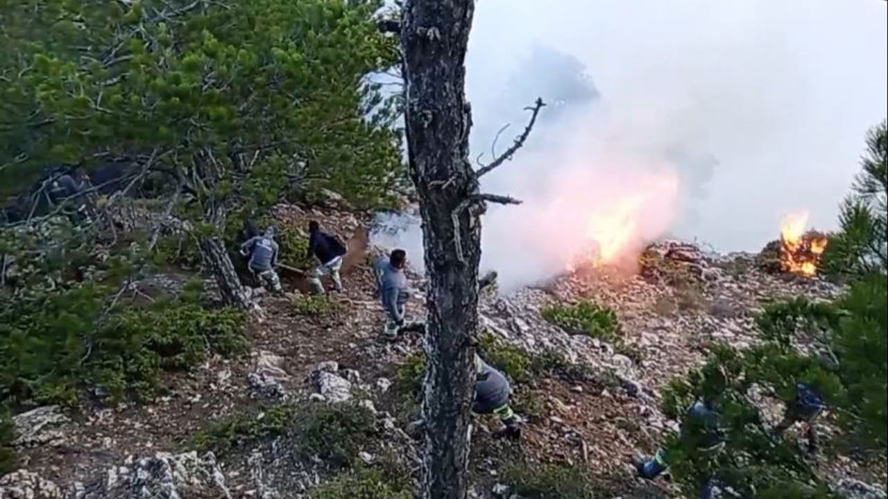 Denizli'deki orman yangını 3. gününde | Vatandaşlar seferber oldu - Haber  Ekspres- İzmir Haberleri- Son Dakika Haberleri