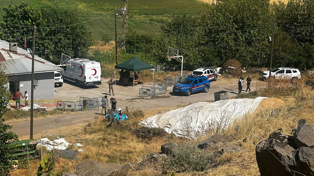 Narin Güran davasında yeni gelişme: Amcası ve annesi gözaltında | Euronews