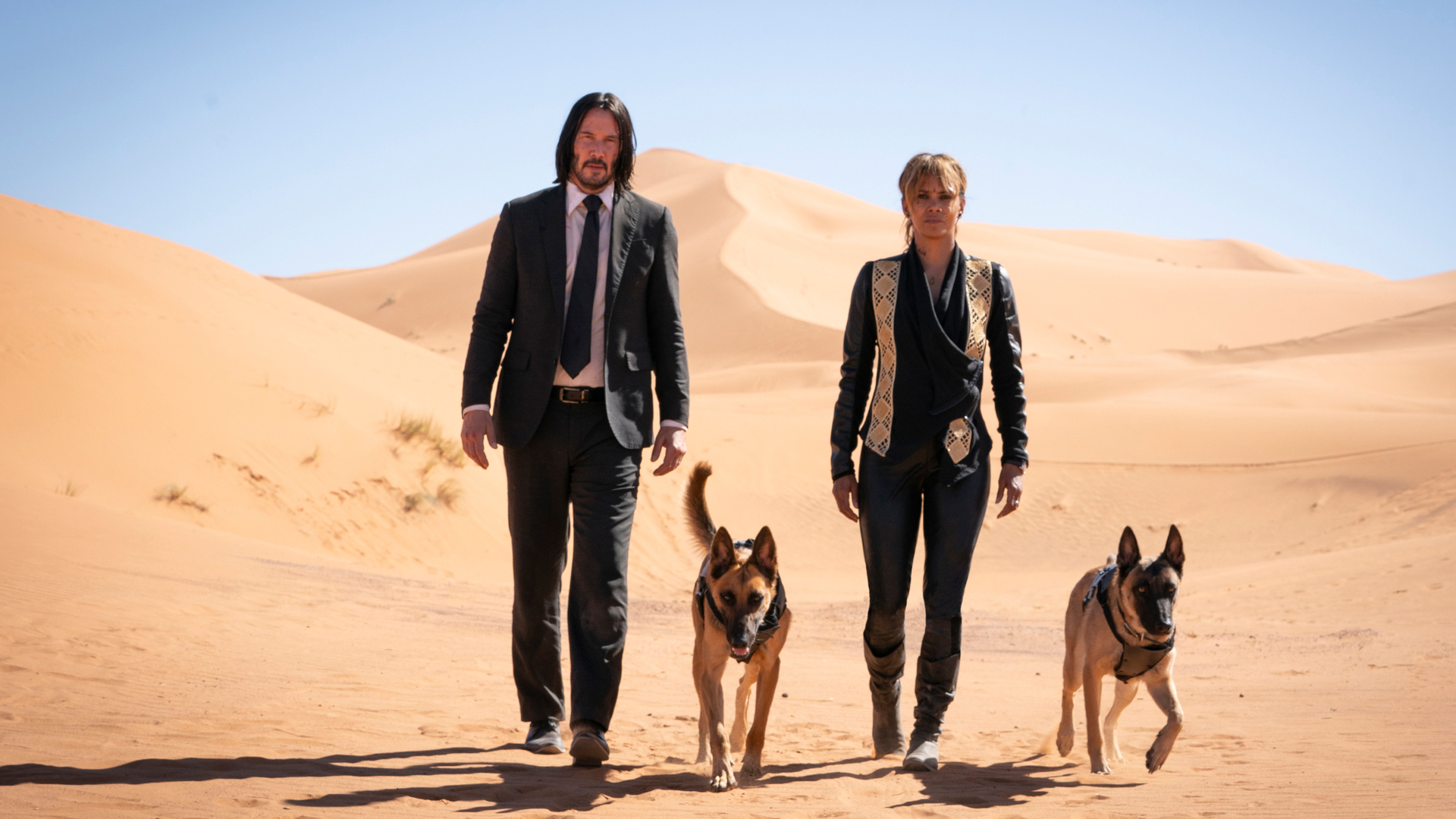 John Wick: Chapter 3 - Parabellum (2019) - IMDb