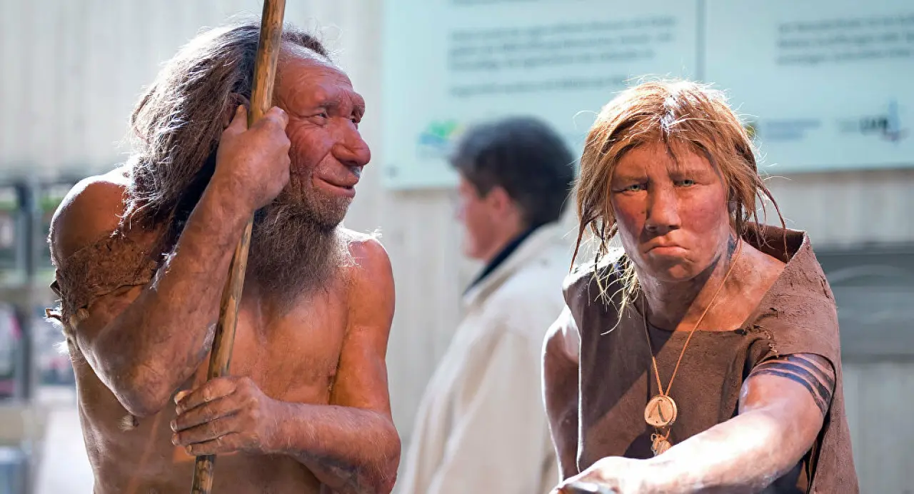 Neandertaller ve modern insanlar nasıl çiftleşiyordu? | Independent Türkçe