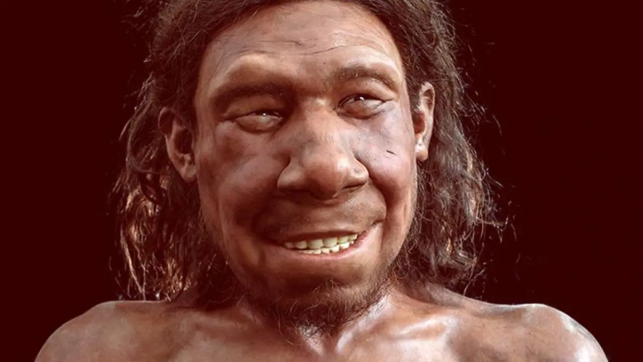 Afrika kökenli olmayan modern insan genomunda yaklaşık yüzde 2 oranında Neandertal DNA'sı mevcut