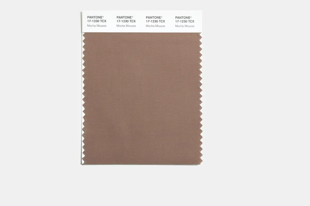 Mocha Mousse Swatch