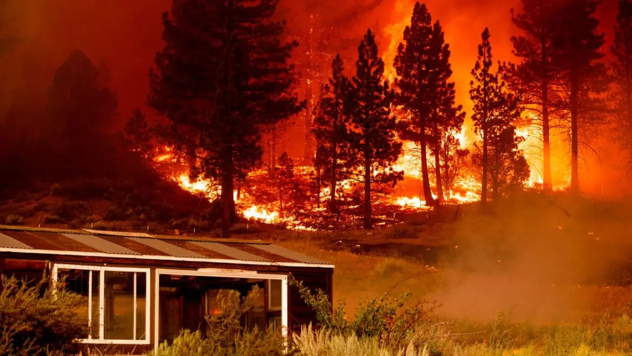 Tamarack Fire: Before it grew into out-of-control blaze, Forest Service  decided to let it burn | CNN