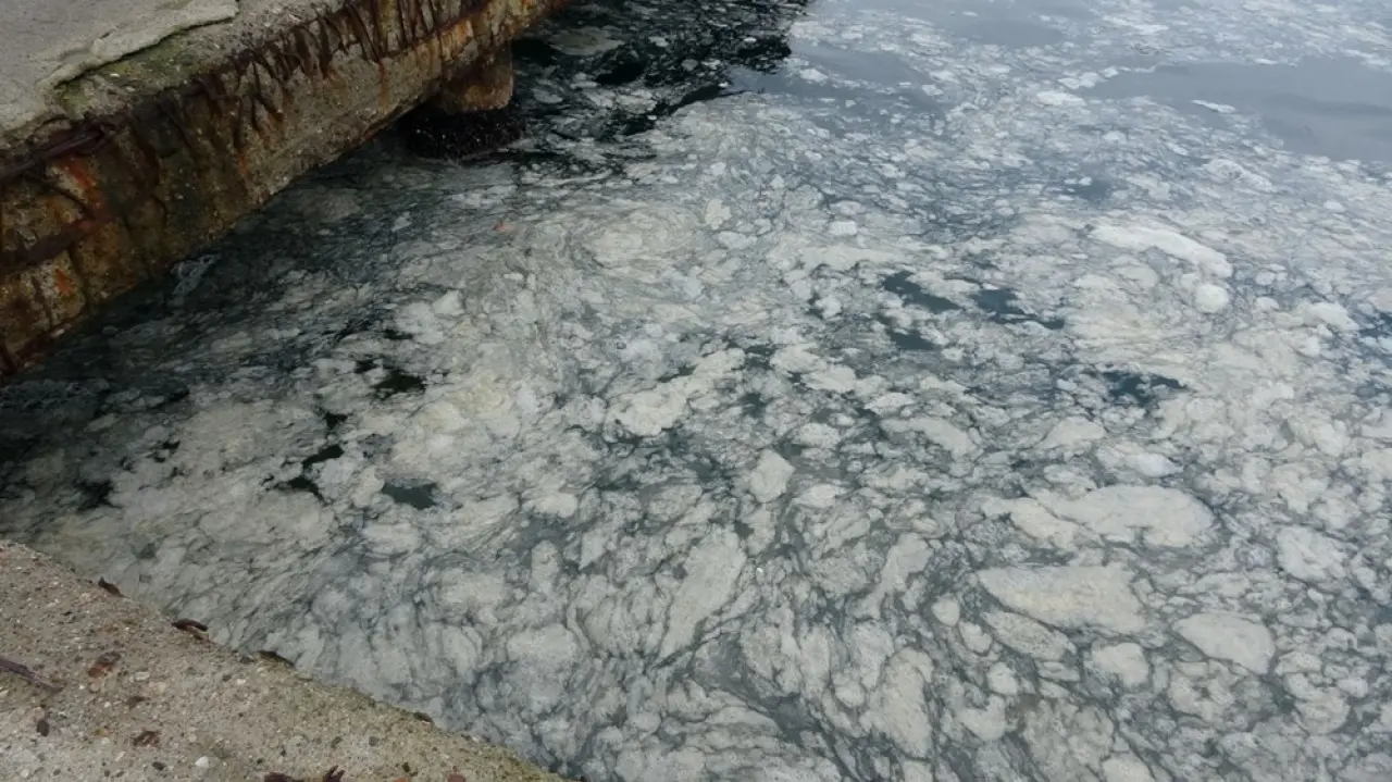 İstanbul'dan sonra müsilajın yeni adresi Çanakkale Boğazı - 4