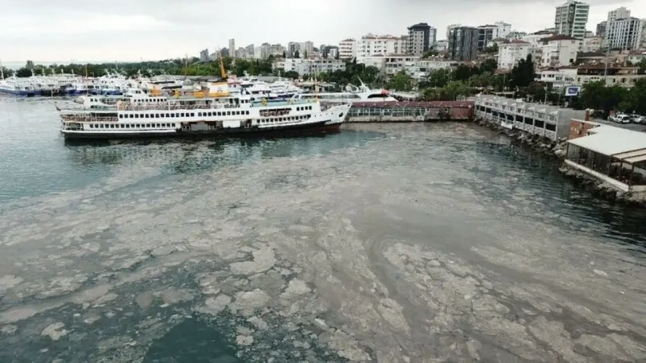 Deniz salyası nedir ve nasıl oluşur? Müsilaj nedir ve neden olur? Deniz  salyası neden kaynaklanır, çözümü nedir, nasıl geçer, müsilaj nasıl  temizlenir? - Yaşam Haberleri