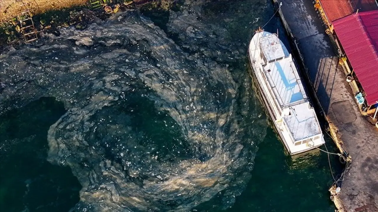 Marmara Denizi’nin dibinden endişelendiren
görüntü: İlkbahar ve yaz ayları için uyarı - 2