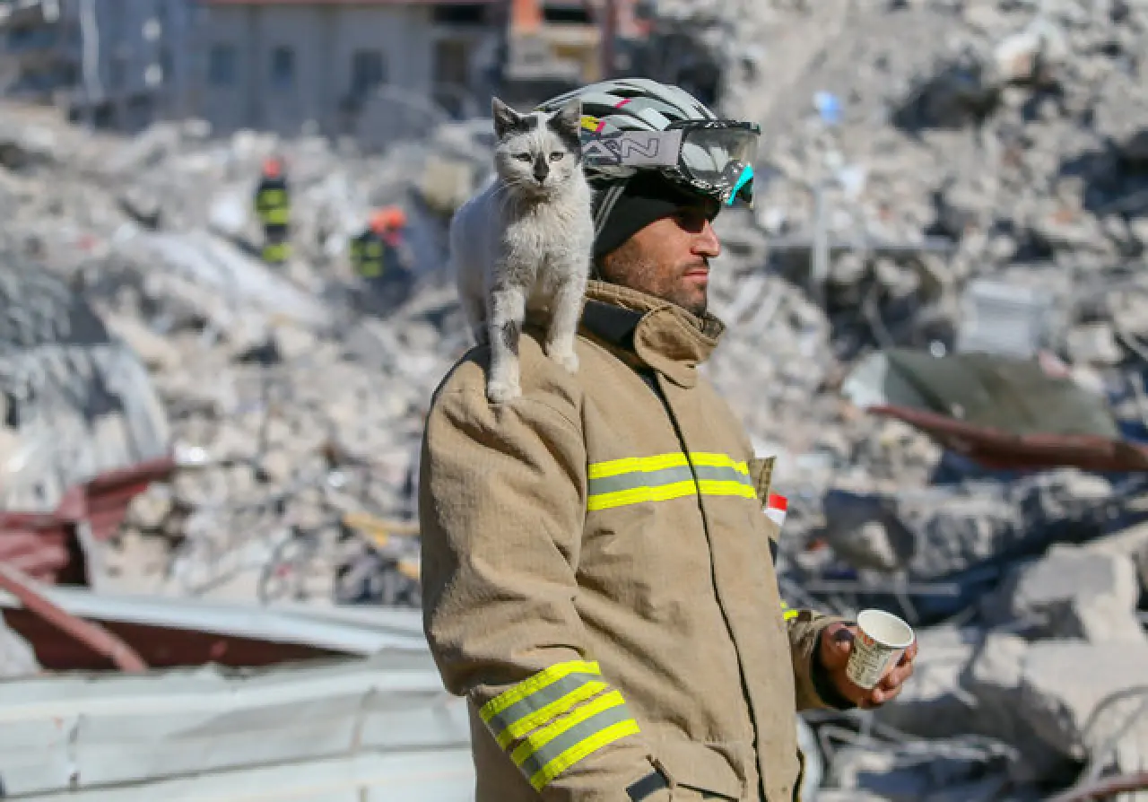 Enkaz adı verilen kedi, kurtarma ekibinin maskotu oldu