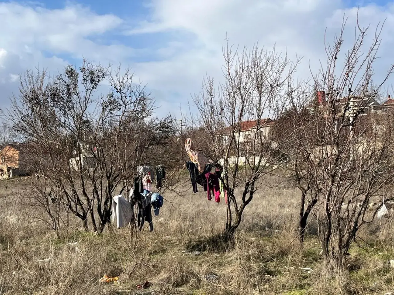 Ağaca asılı elbiseler görenleri hayrete düşürdü - 1