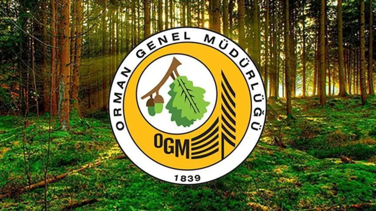 OGM İŞÇİ VE MEMUR ALIMI 2025 BAŞVURU EKRANI: Sayı 7 bin 977 personele  yükselmişti! Şoför, temizlik personeli, servis ve arşiv elemanı alınıyor..  OGM başvuru şartları neler? - Hürriyet En Son Haberler